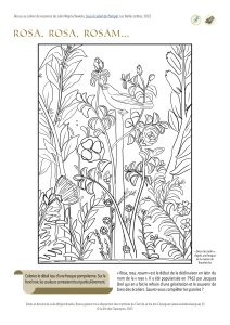 CDV-Pompéi_Bonus-Rosa