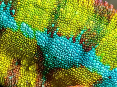 Calendrier_Classiques_2025_J2_Illustration